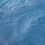 Фото: Яхта Пепелац. Греция. Ионическое море. Пера Пигати.