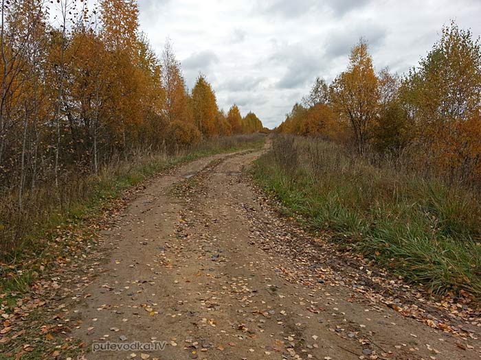 Тверская область. Дорога от Золотилово в Ларцево.
