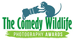 The Comedy Wildlife Photography Awards | comedywildlifephoto.com
