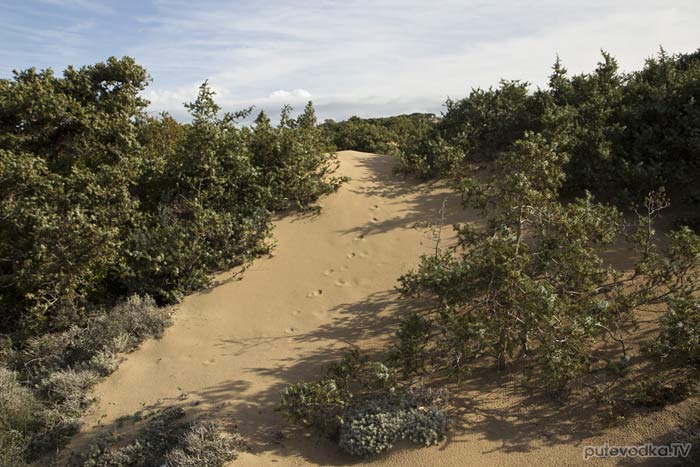 Северо-восточная оконечность Пароса. Песчаные дюны.